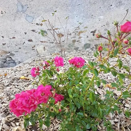 Clos Sainte Catherine