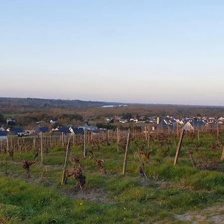 Clos Sainte Catherine B&B 3*
