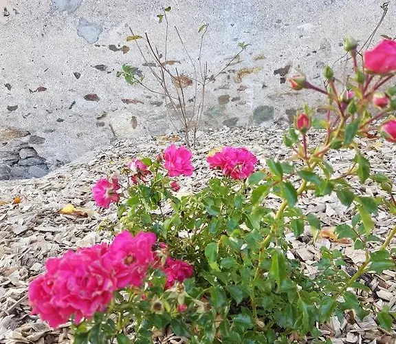 Clos Sainte Catherine