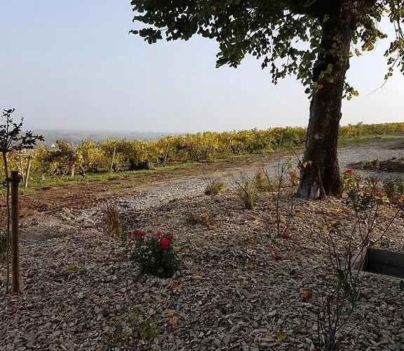 Clos Sainte Catherine 3* Rochefort-sur-Loire