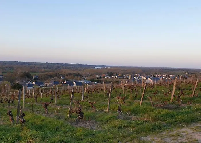 Clos Sainte Catherine Bed & Breakfast 3*